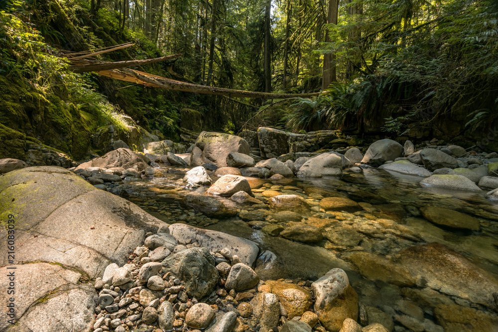 water rushing through the cracks of the rocks in the creek inside forest water rushing through the cracks of the rocks in the creek inside forest
