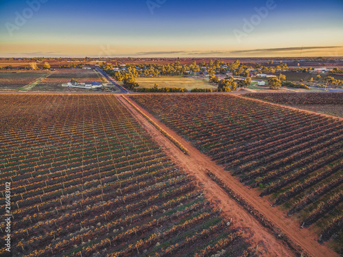 Sunset over vineyards in Riverland, South Australia - aerial landscape