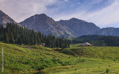 Habitation of the shepherd in a mountain valley