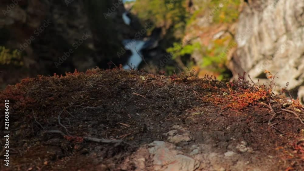 clip of the waterfall in Rondane national park Norway
shot in 50fps 25fps timeline clip of the waterfall in Rondane national park Norway
shot in 50fps 25fps timeline
