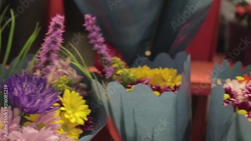 Wallpaper Mural Floriculture Pots With Green Plants Torontodigital.ca