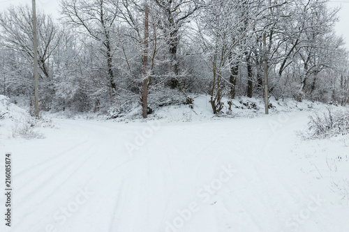 Forked rural snowy road © olyasolodenko
