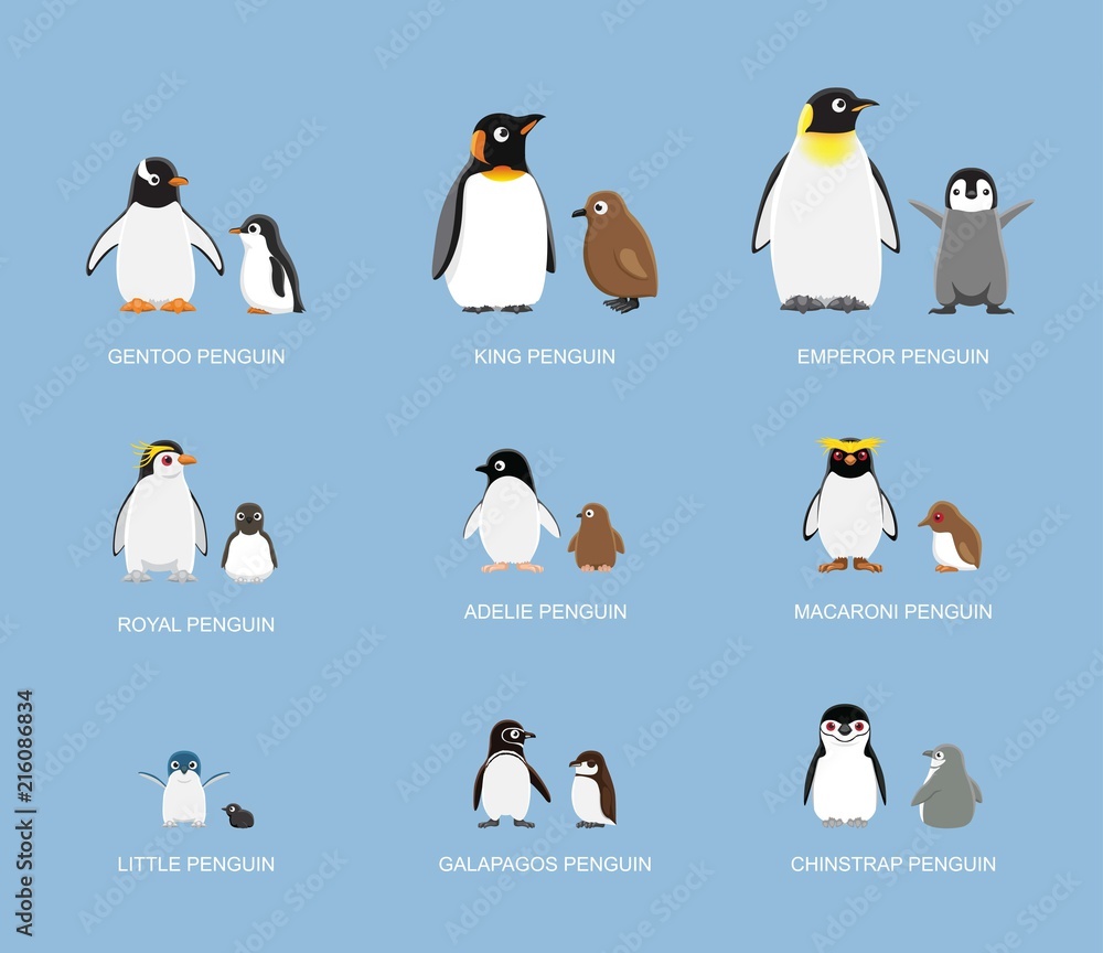 Naklejka premium Penguin Babies Cartoon Emotion stoi ilustracji wektorowych