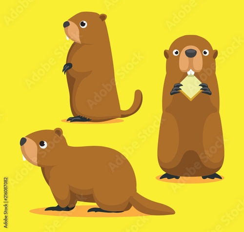 Cute Marmot Cartoon Vector Illustration