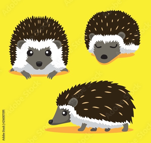 Cute Hedgehog Cartoon Vector Illustration