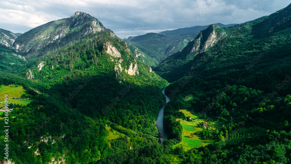 Aerial view of a mountain valley, forest, Tara river canyon in Durmitor National Park, Montenegro