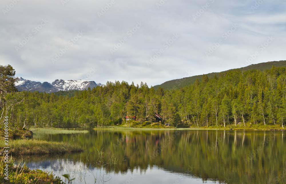 Scenic green landscape of Norway during summer time