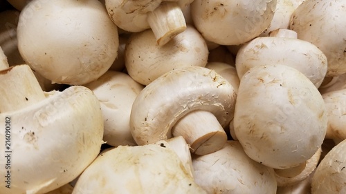 White mushrooms in close up