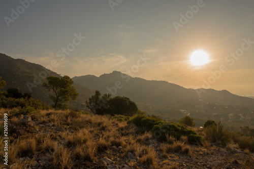 The desert of the palms at dawn