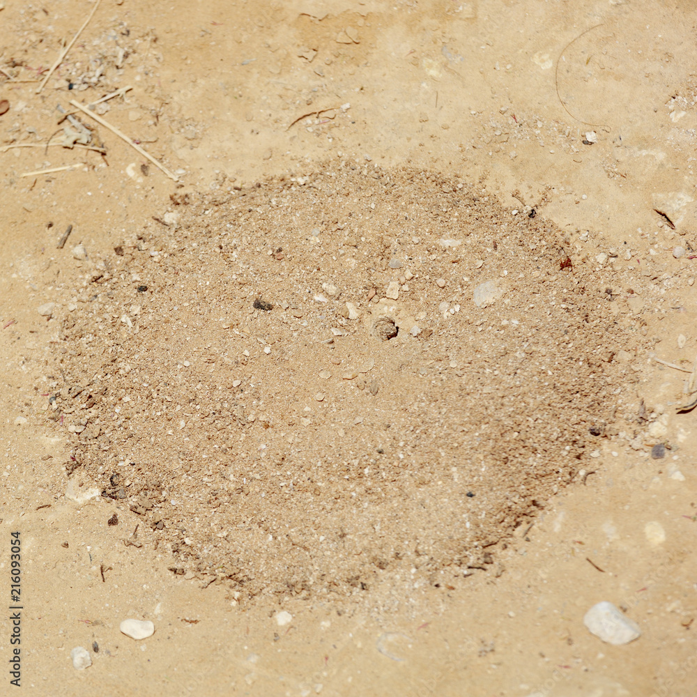 Round anthill in desert Round anthill in desert