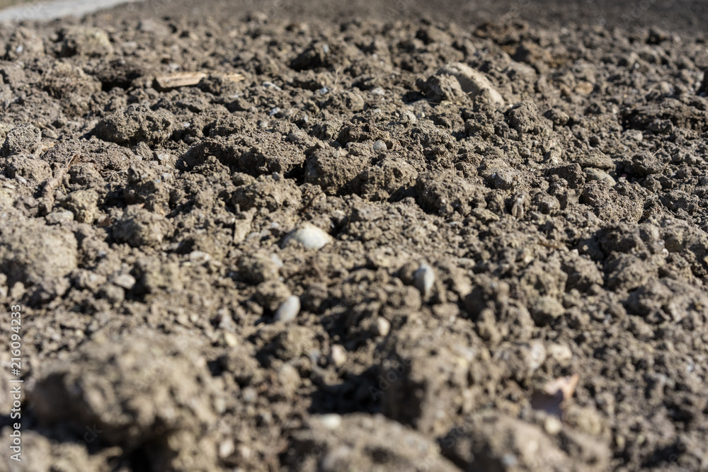 pile of earth in garden pile of earth in garden