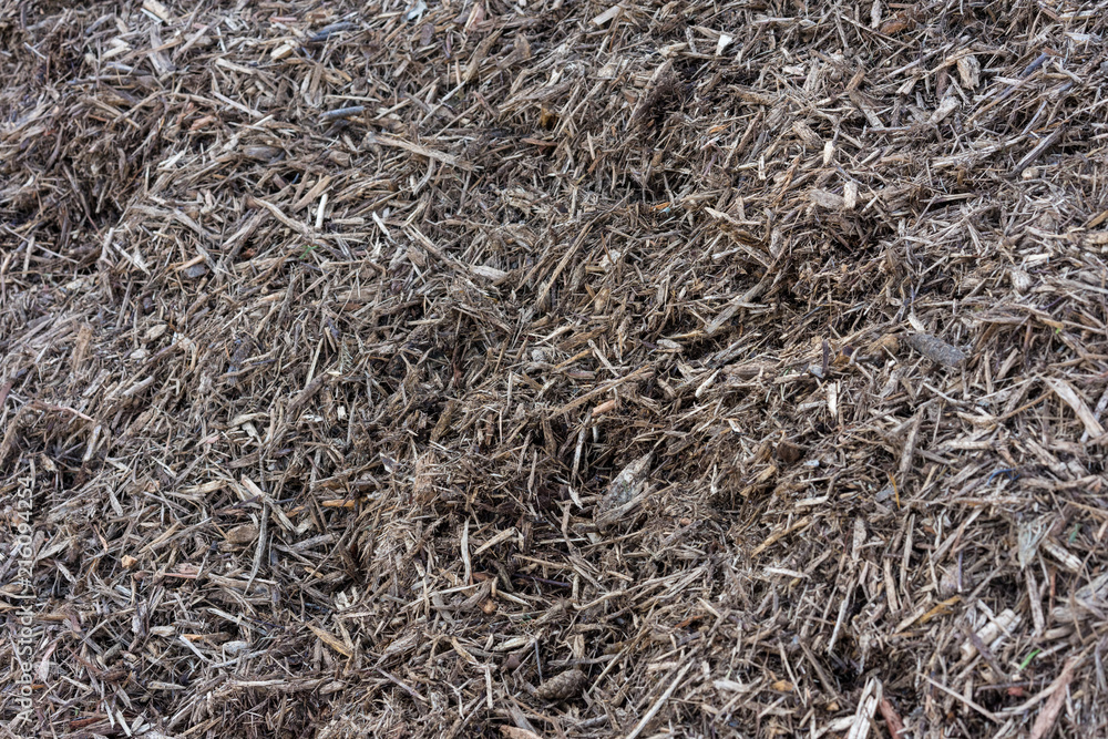 pile of wood shavings in garden pile of wood shavings in garden