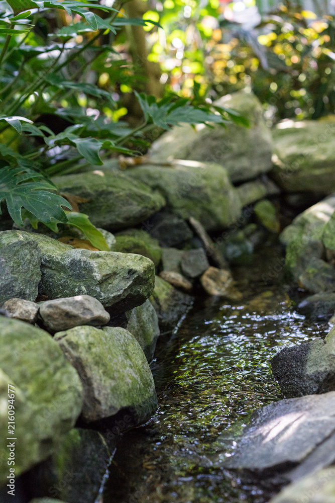 Fototapeta premium small creek with water and big rocks
