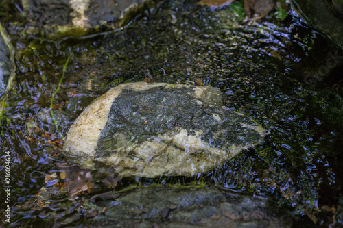 small creek with water and big rocks