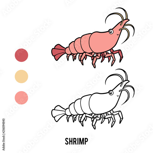 Coloring book, Shrimp