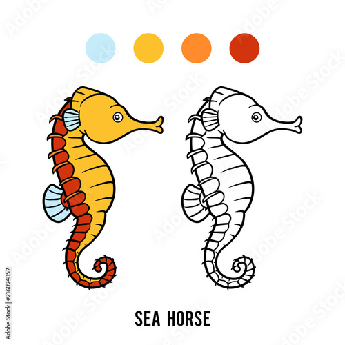 Coloring book, Sea horse