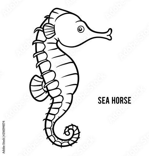 Coloring book, Sea horse