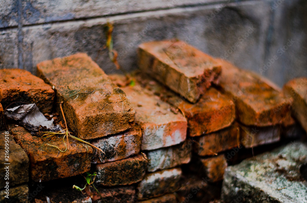 Red brick laying on the wall Red brick laying on the wall
