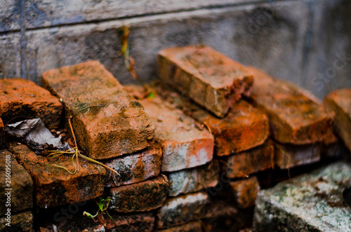 Red brick laying on the wall