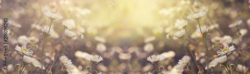 Vegetative background with ...