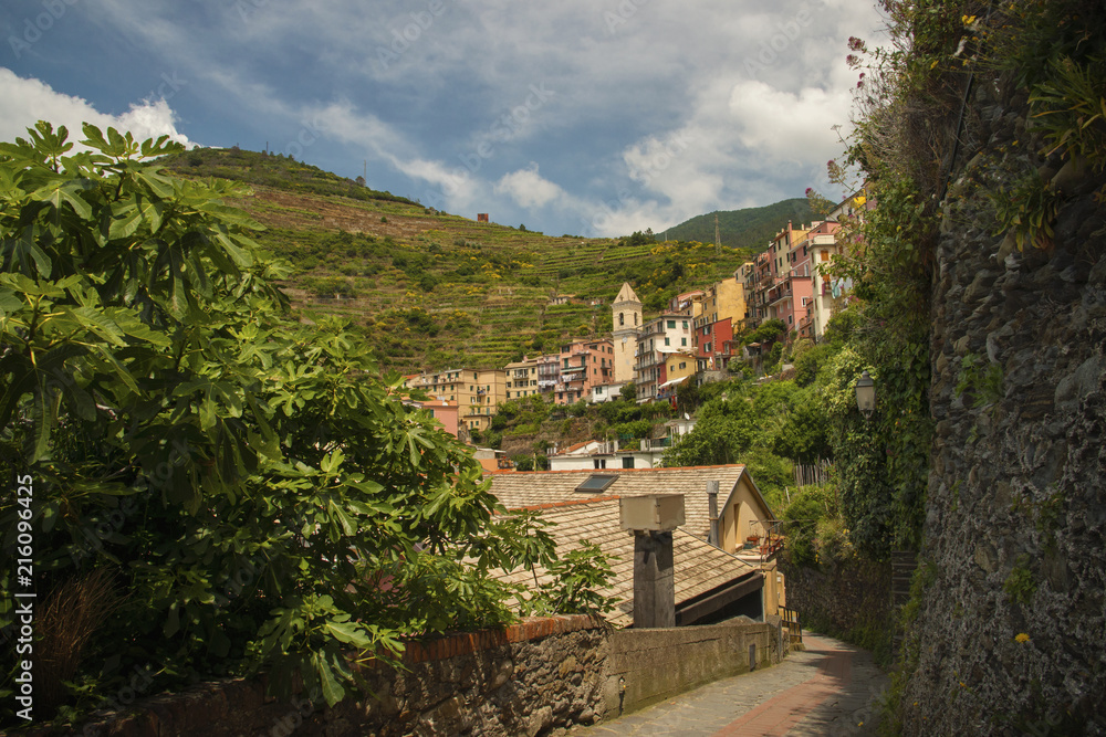 Panoramic view at Manarola fishing village, one of five at Cinque Terre, with charming colorful buildings