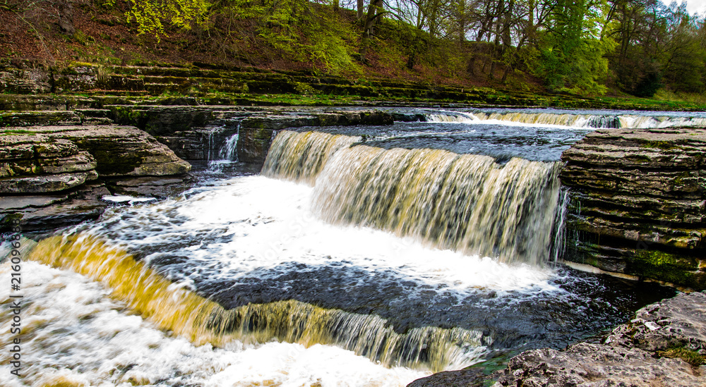 Fototapeta premium Waterfall