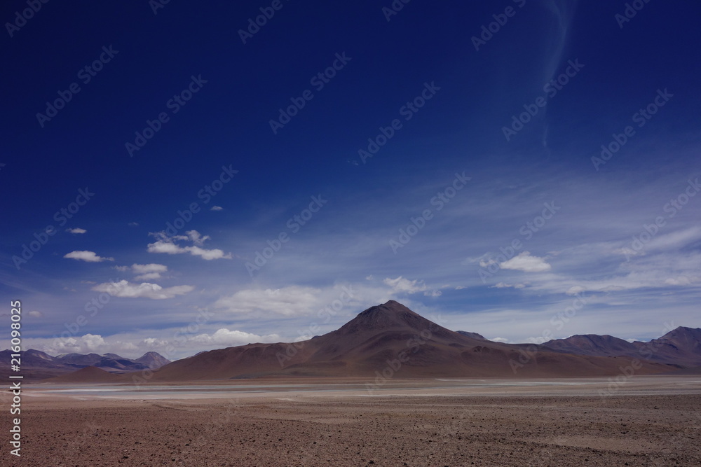 Wüstenlandschaft mit Steppe vor Vulkan-Kulisse