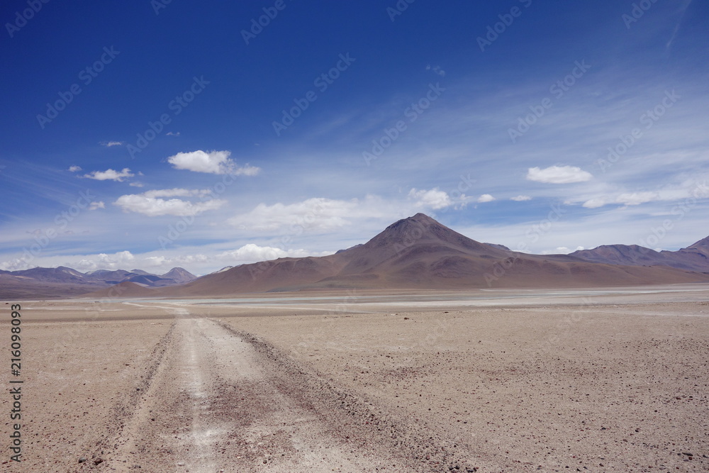 Wüstenlandschaft mit Steppe vor Vulkan-Kulisse Wüstenlandschaft mit Steppe vor Vulkan-Kulisse