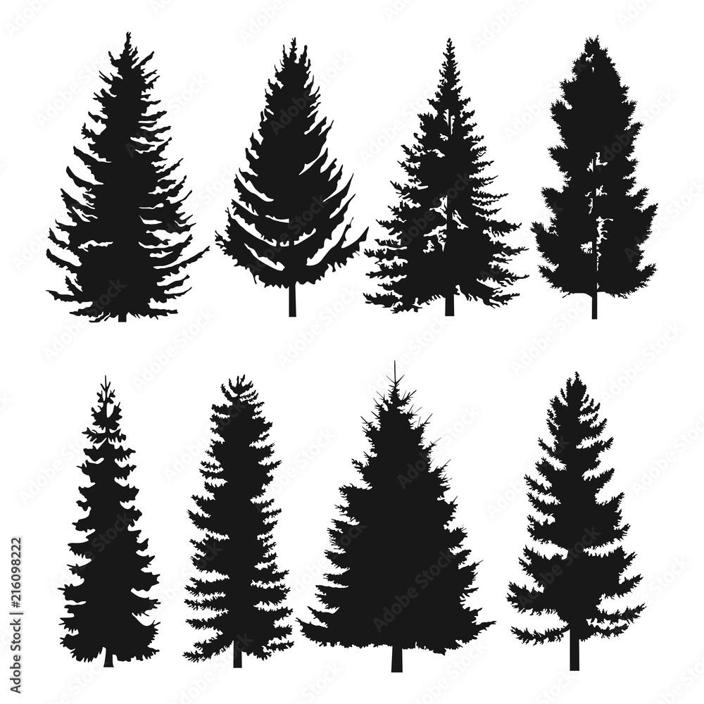 pine tree flat icon