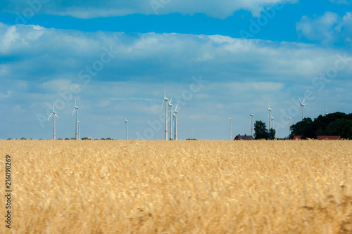 In the foreground a field of golden wheat and in the background are full of turbine windmills. Beautiful landscape in Germany and the production of electricity.