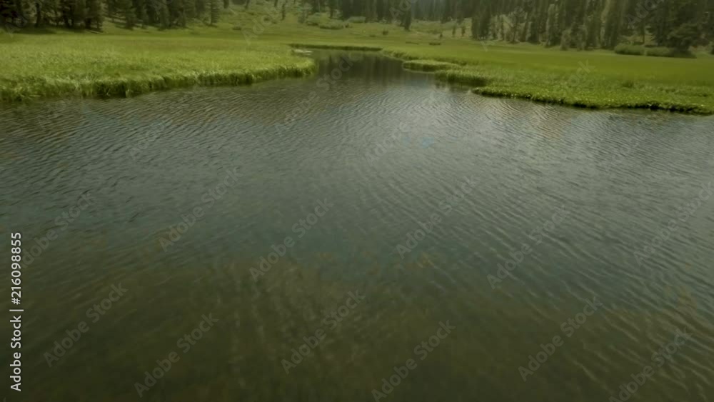 Aerial shots soaring above half moon lake with green wetlands surrounding the water, and tall trees enclosing it all Aerial shots soaring above half moon lake with green wetlands surrounding the water, and tall trees enclosing it all