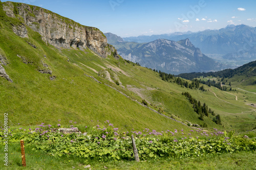 Wanderweg zum Steingässler, Flums, Kleinberg photo