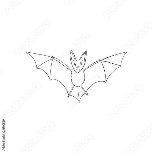 Bat is a nocturnal animal. A symbol of Halloween. The bat in flight