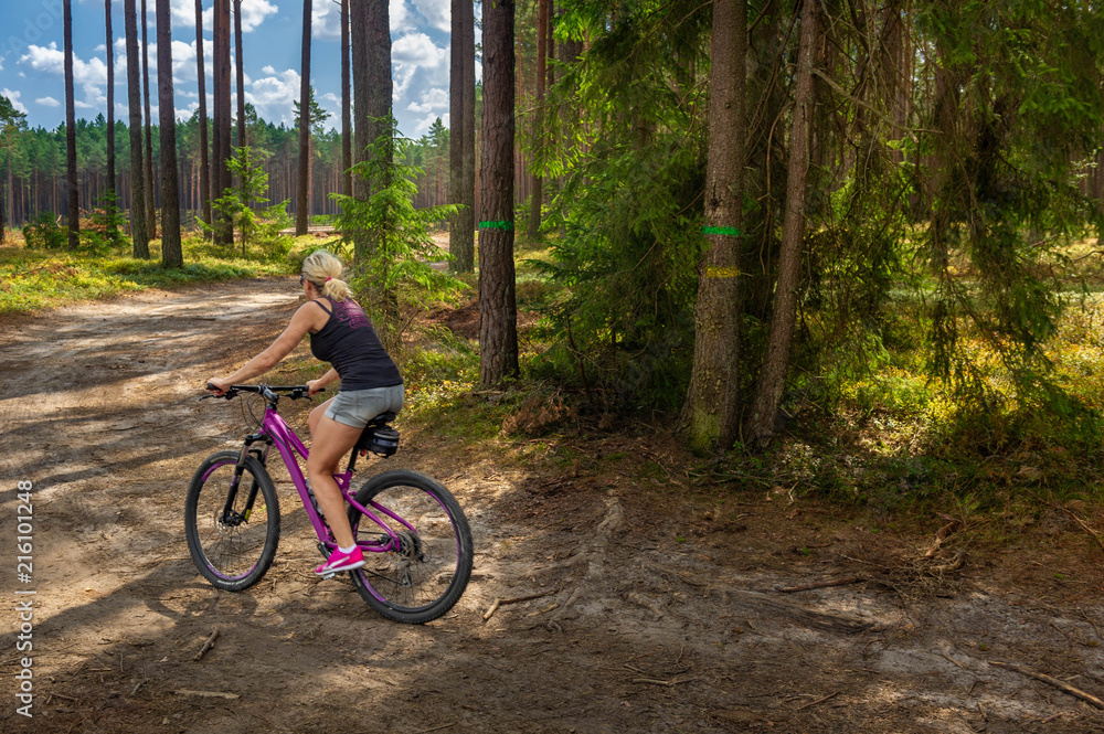 Naklejka premium bicycle tour