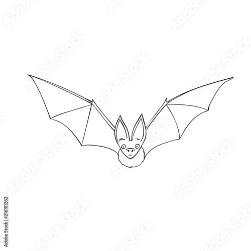 Bat is a nocturnal animal. A symbol of Halloween. The bat in flight