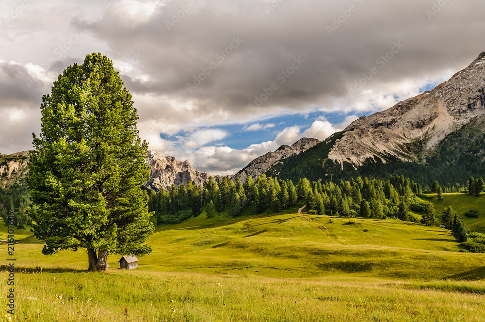 Dolomiti