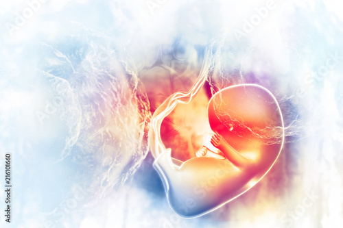 Fotografia, Obraz Human fetus on scientific background