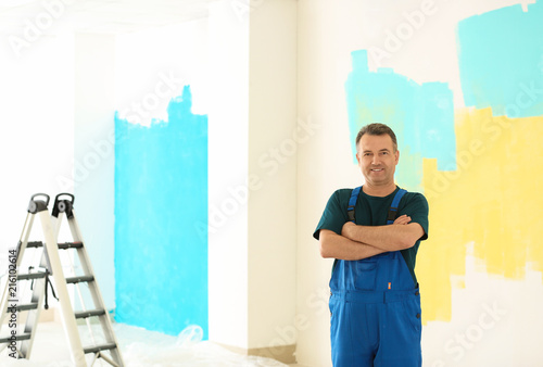 Male painter in uniform ind...