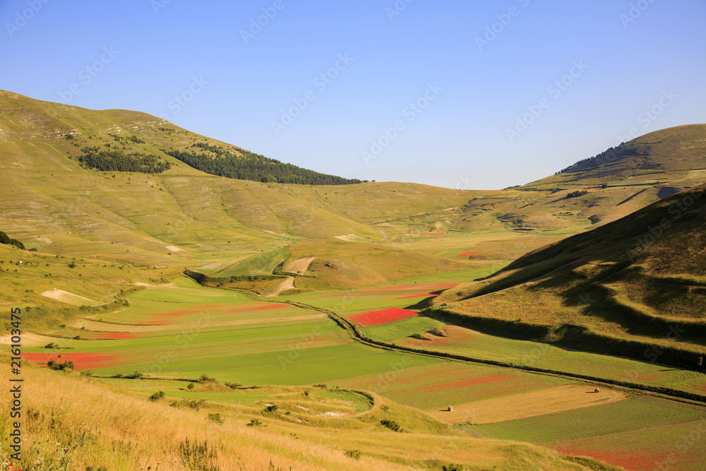 Flying on Castelluccio di Norcia, between ruins and bloom of flowers 