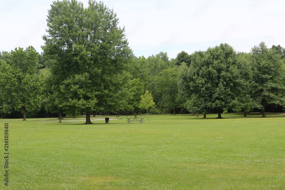 The bright green grass landscape of the park.