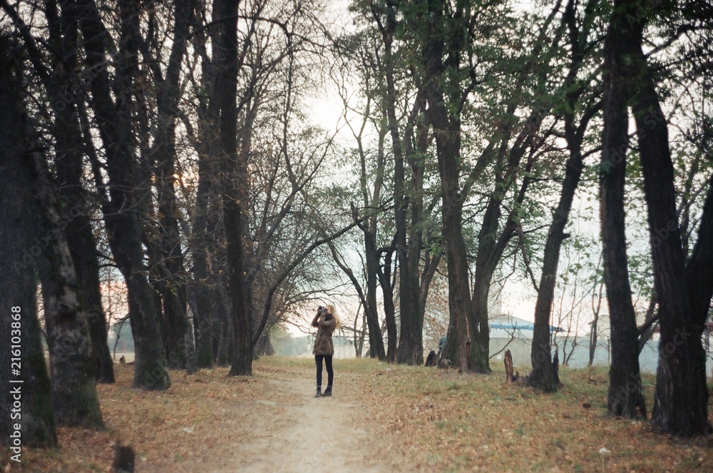 tiny forest tiny forest