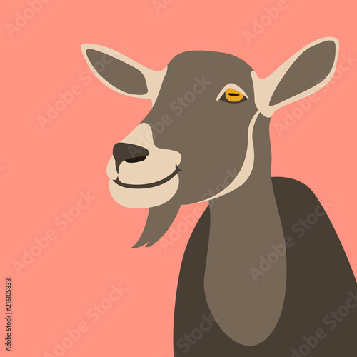 goat  head  vector illustration flat style front photo