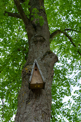 Fototapeta Naklejka Na Ścianę i Meble -  Wooden birdhouse hanging on a tree