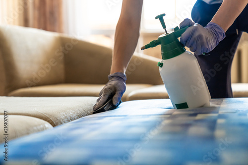 Closeup of upholstered Sofa chemical cleaning with professionally extraction method. Man is holding spray.