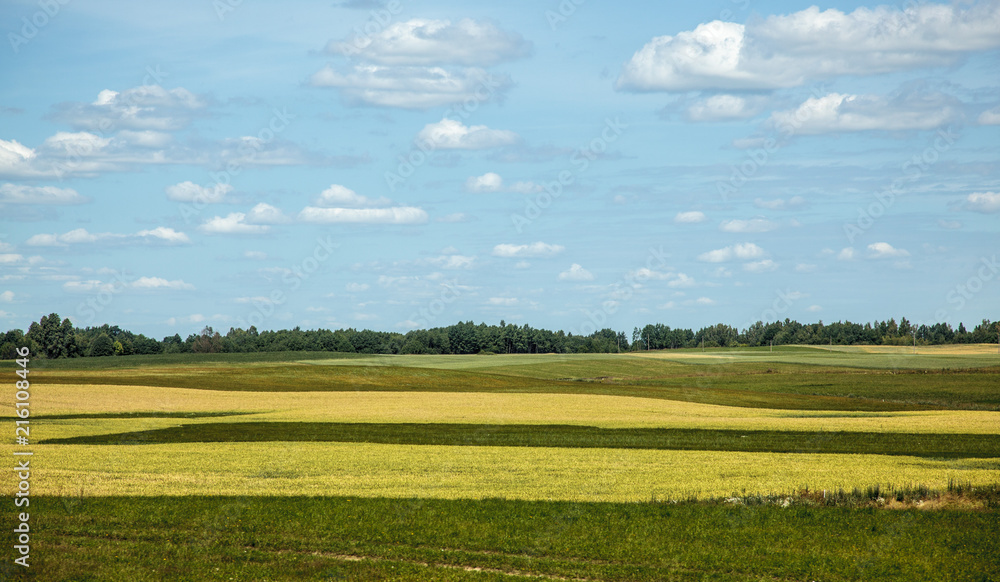 Fototapeta premium Lithuanian landscape