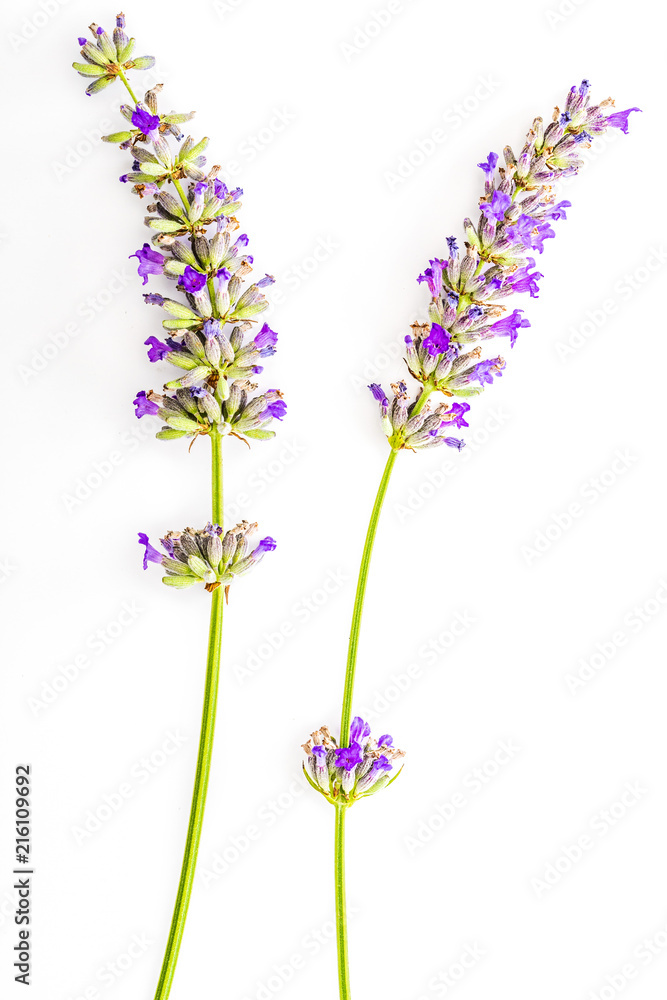 Fototapeta Bouquet of flowers and lavender seeds on white background, isolated.
