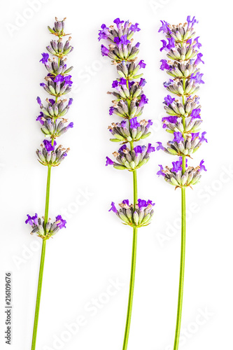 Fototapeta Naklejka Na Ścianę i Meble -  Bouquet of flowers and lavender seeds on white background, isolated.