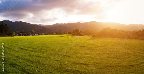 New Zealand green field sunrise