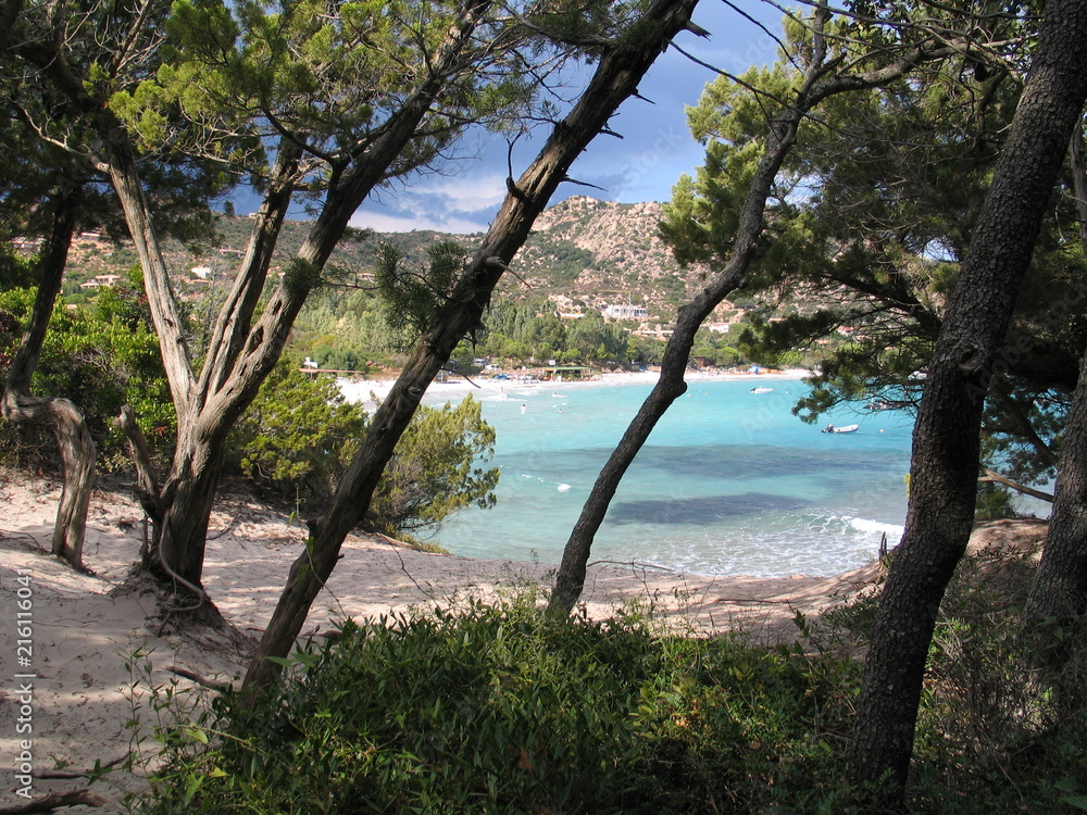 Palombaggia Beach - Corsica - France Palombaggia Beach - Corsica - France
