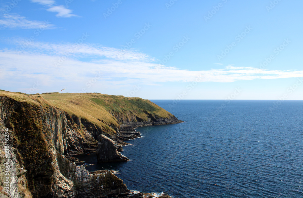 Cliffs near the Old Head of Kinsale West Cork Ireland